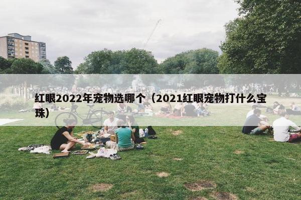 红眼2022年宠物选哪个（2021红眼宠物打什么宝珠）