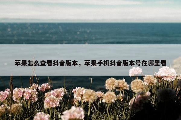 苹果怎么查看抖音版本，苹果手机抖音版本号在哪里看