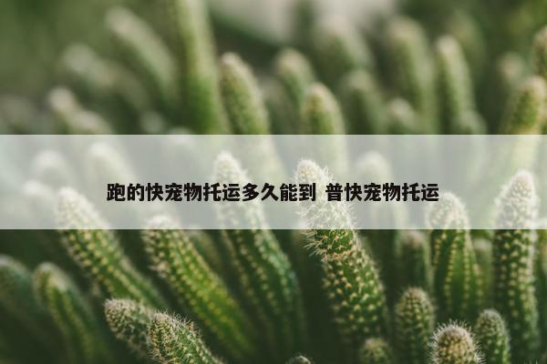 跑的快宠物托运多久能到 普快宠物托运