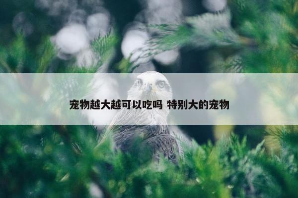 宠物越大越可以吃吗 特别大的宠物