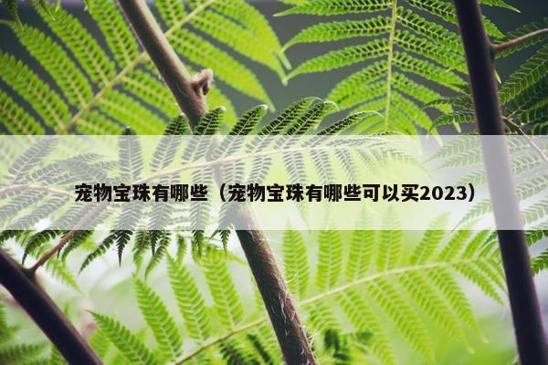 宠物宝珠有哪些（宠物宝珠有哪些可以买2023）