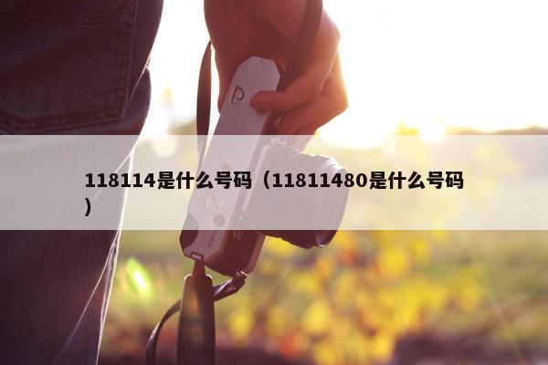 118114是什么号码（11811480是什么号码）