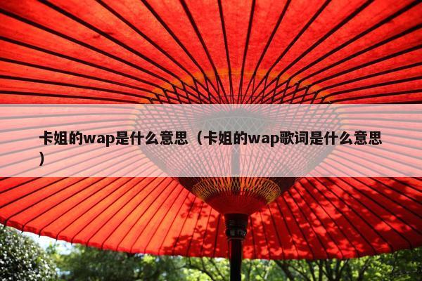 卡姐的wap是什么意思（卡姐的wap歌词是什么意思）