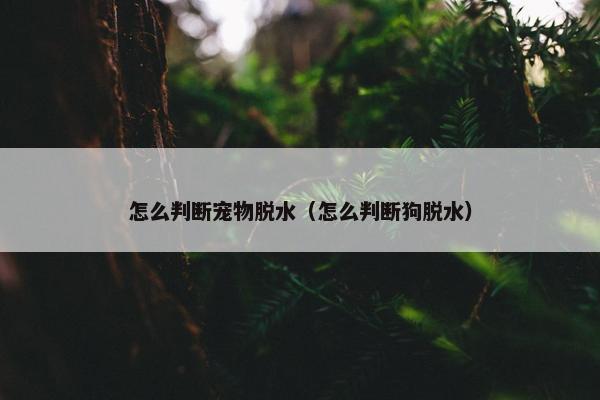 怎么判断宠物脱水（怎么判断狗脱水）