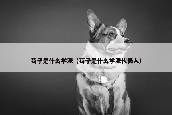 荀子是什么学派（荀子是什么学派代表人）