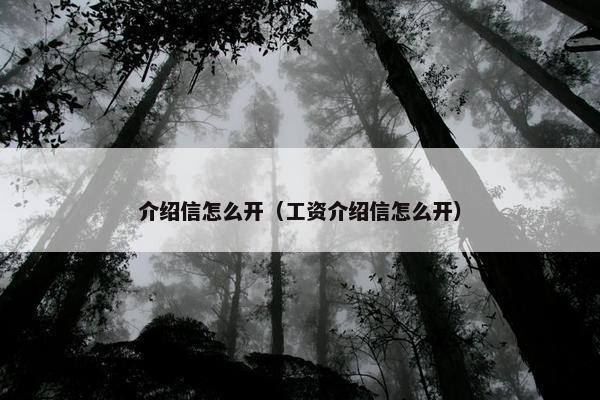 介绍信怎么开（工资介绍信怎么开）