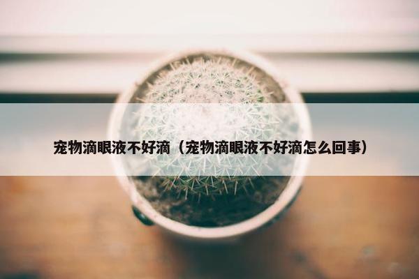 宠物滴眼液不好滴（宠物滴眼液不好滴怎么回事）