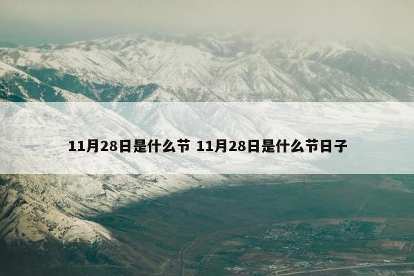 11月28日是什么节 11月28日是什么节日子