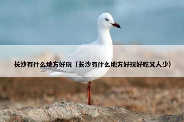 长沙有什么地方好玩（长沙有什么地方好玩好吃又人少）