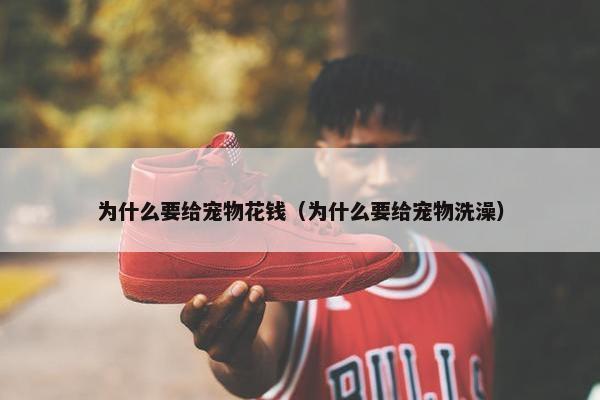 为什么要给宠物花钱（为什么要给宠物洗澡）