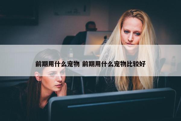 前期用什么宠物 前期用什么宠物比较好