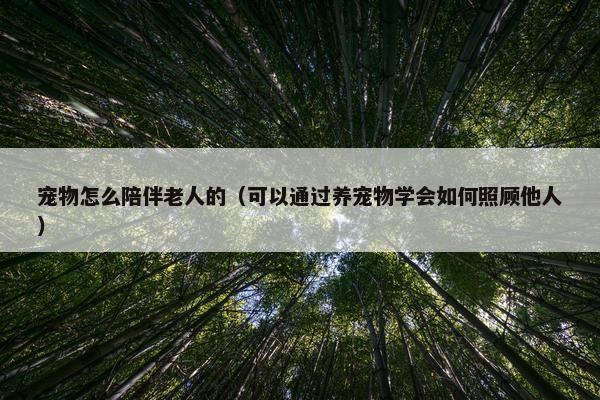 宠物怎么陪伴老人的（可以通过养宠物学会如何照顾他人）