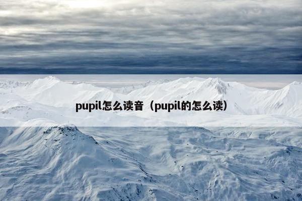 pupil怎么读音（pupil的怎么读）