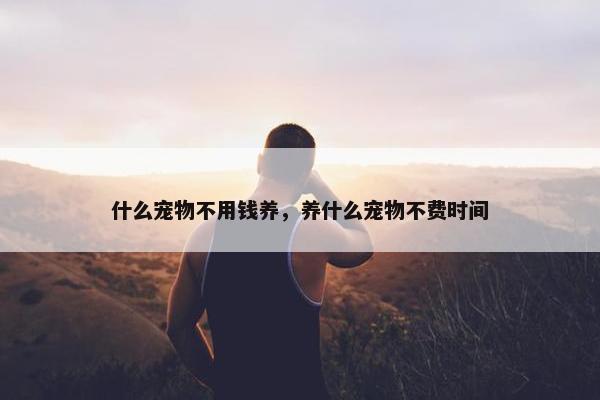 什么宠物不用钱养，养什么宠物不费时间