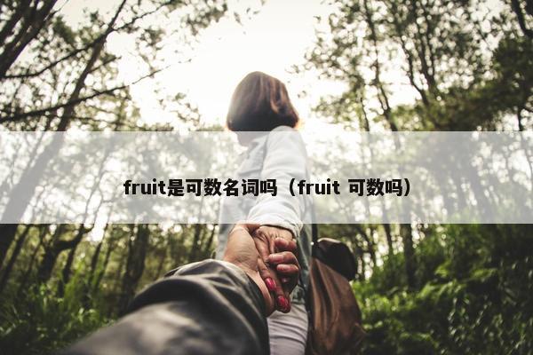 fruit是可数名词吗（fruit 可数吗）