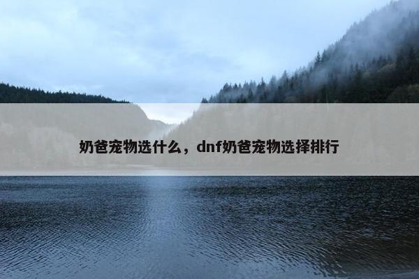 奶爸宠物选什么，dnf奶爸宠物选择排行