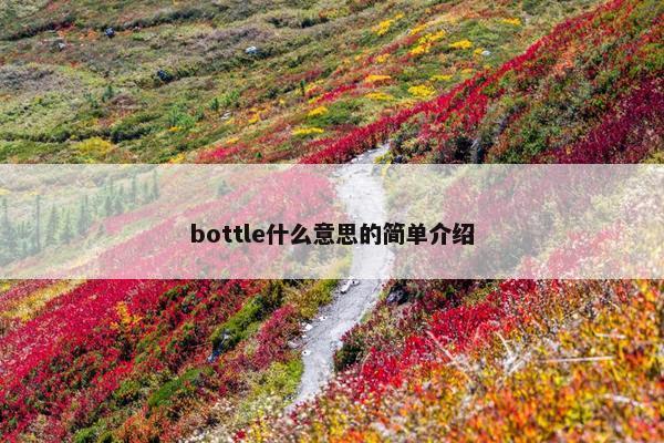 bottle什么意思的简单介绍