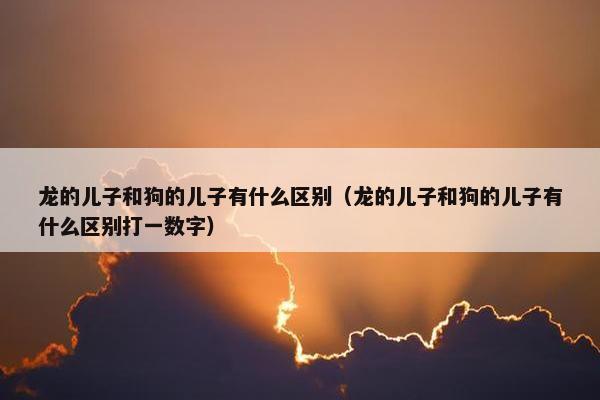 龙的儿子和狗的儿子有什么区别（龙的儿子和狗的儿子有什么区别打一数字）