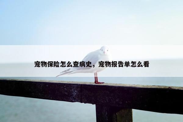 宠物保险怎么查病史，宠物报告单怎么看