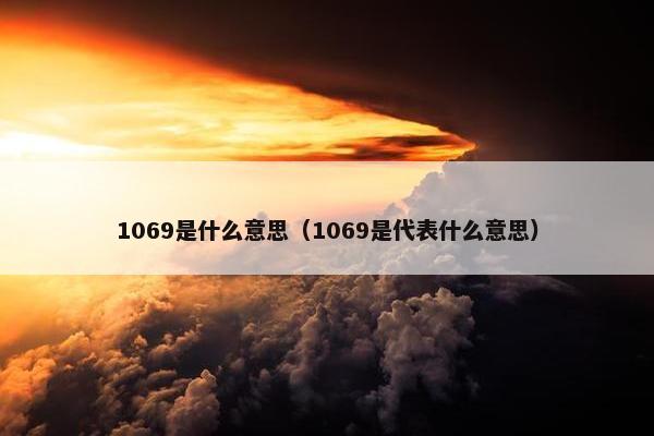 1069是什么意思（1069是代表什么意思）