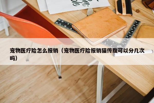 宠物医疗险怎么报销（宠物医疗险报销猫传腹可以分几次吗）