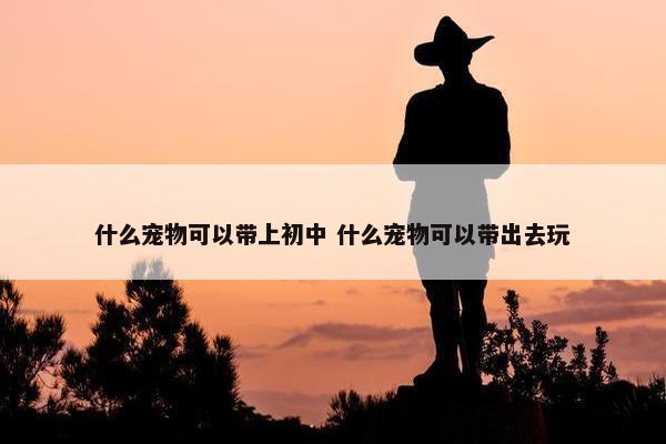 什么宠物可以带上初中 什么宠物可以带出去玩