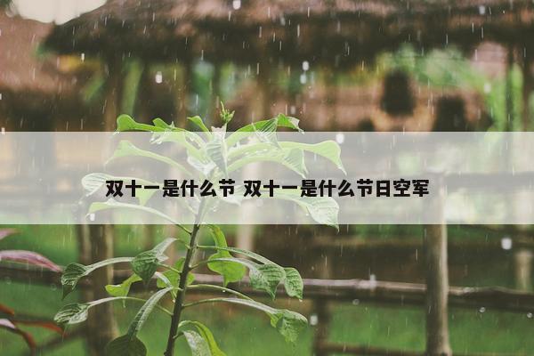 双十一是什么节 双十一是什么节日空军