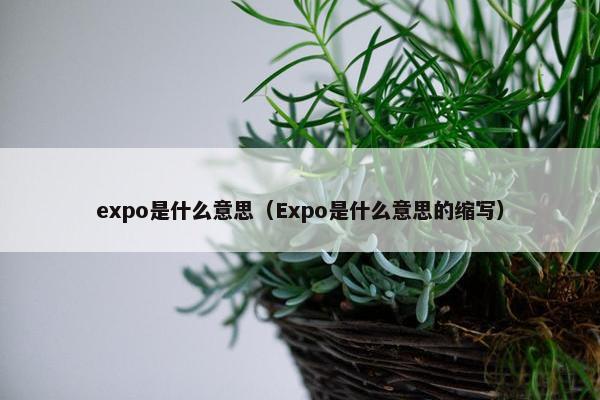 expo是什么意思（Expo是什么意思的缩写）