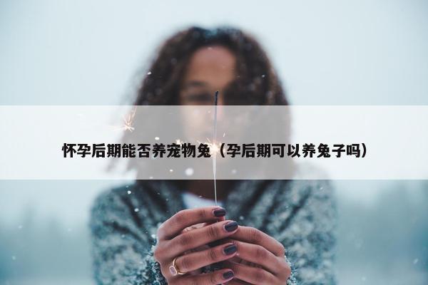 怀孕后期能否养宠物兔（孕后期可以养兔子吗）