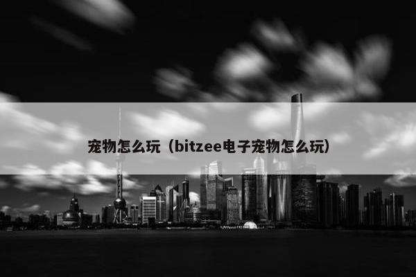 宠物怎么玩（bitzee电子宠物怎么玩）