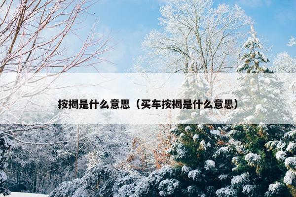 按揭是什么意思（买车按揭是什么意思）