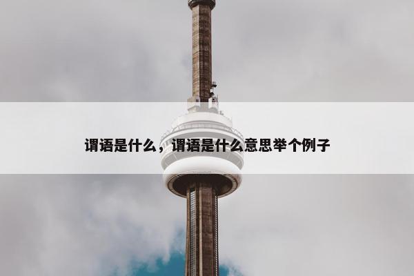 谓语是什么，谓语是什么意思举个例子