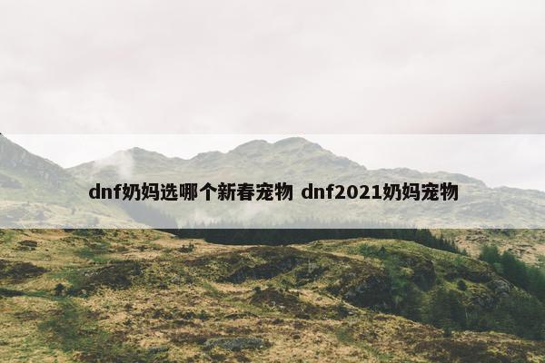 dnf奶妈选哪个新春宠物 dnf2021奶妈宠物