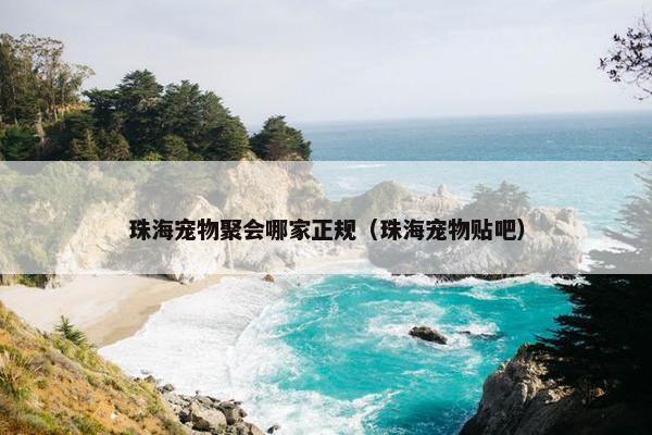 珠海宠物聚会哪家正规（珠海宠物贴吧）