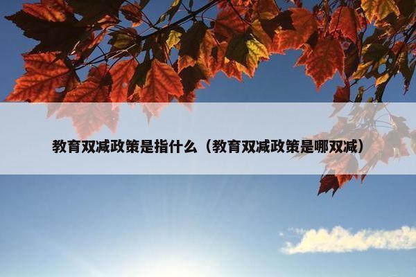 教育双减政策是指什么（教育双减政策是哪双减）