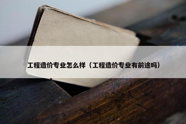 工程造价专业怎么样（工程造价专业有前途吗）