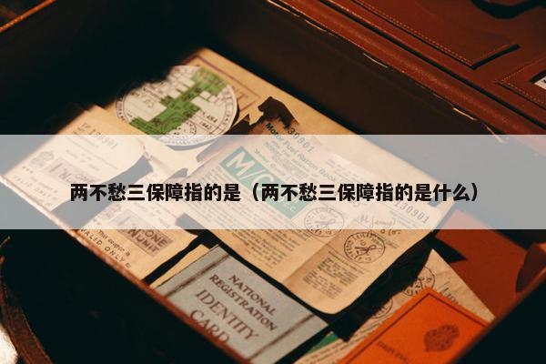 两不愁三保障指的是（两不愁三保障指的是什么）