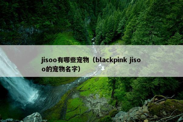 jisoo有哪些宠物（blackpink jisoo的宠物名字）