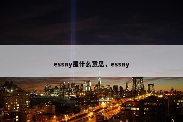 essay是什么意思，essay