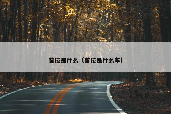 普拉是什么（普拉是什么车）