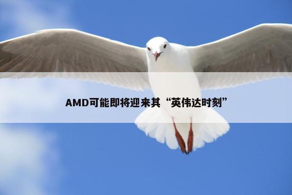 AMD可能即将迎来其“英伟达时刻”