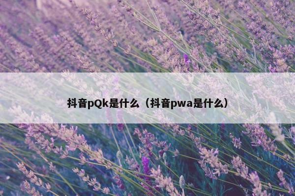 抖音pQk是什么（抖音pwa是什么）