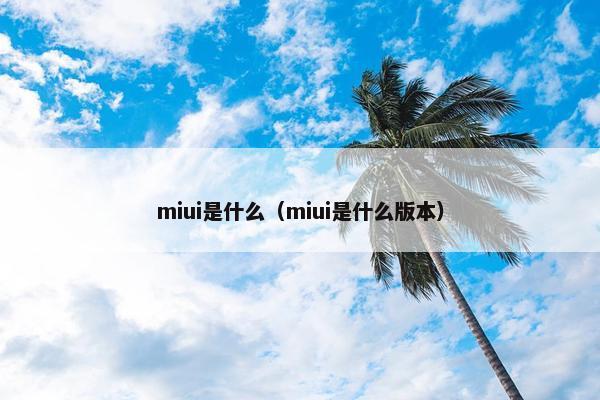 miui是什么（miui是什么版本）