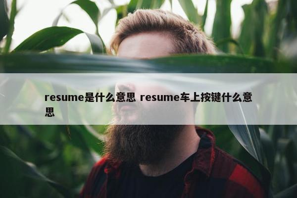 resume是什么意思 resume车上按键什么意思