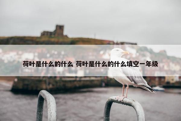 荷叶是什么的什么 荷叶是什么的什么填空一年级