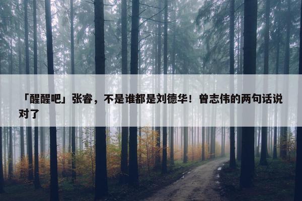 「醒醒吧」张睿，不是谁都是刘德华！曾志伟的两句话说对了