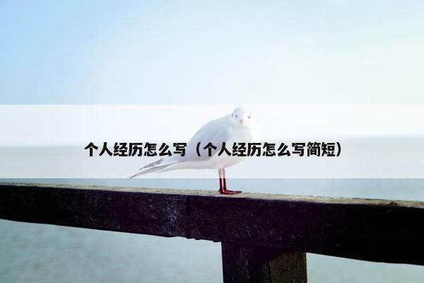 个人经历怎么写（个人经历怎么写简短）