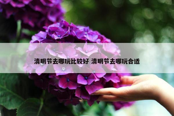 清明节去哪玩比较好 清明节去哪玩合适