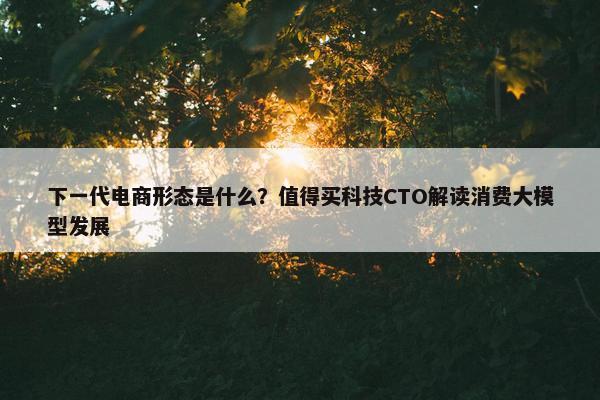 下一代电商形态是什么？值得买科技CTO解读消费大模型发展