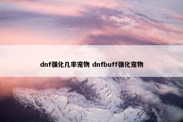 dnf强化几率宠物 dnfbuff强化宠物